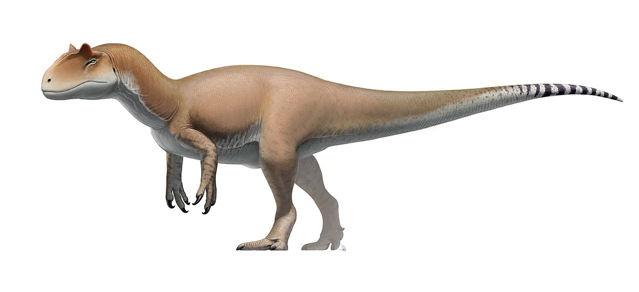 Dibujo de un alosaurio