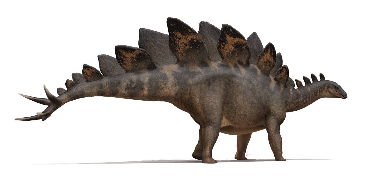Dibujo de un estegosaurio