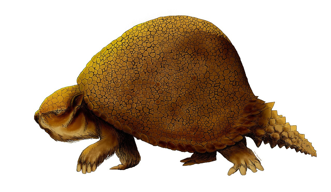 Foto artística de un Glyptodon